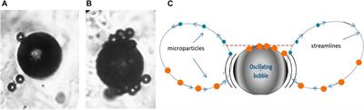 Acoustophoretic trapping of particles by bubbles in microfluidics